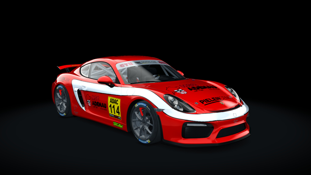 Porsche Cayman GT4 Digital Cup, skin GT4_221_ESC