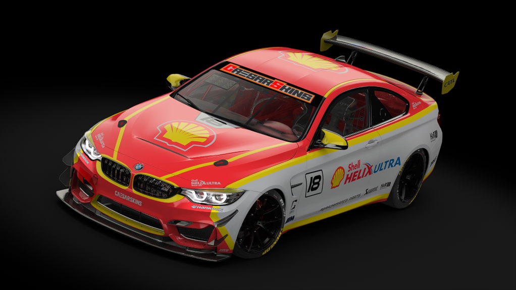 BMW M4 GT4, skin 18Shell