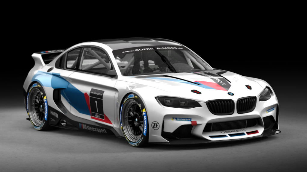 BMW M2 GT2, skin 1_bmw_gt2