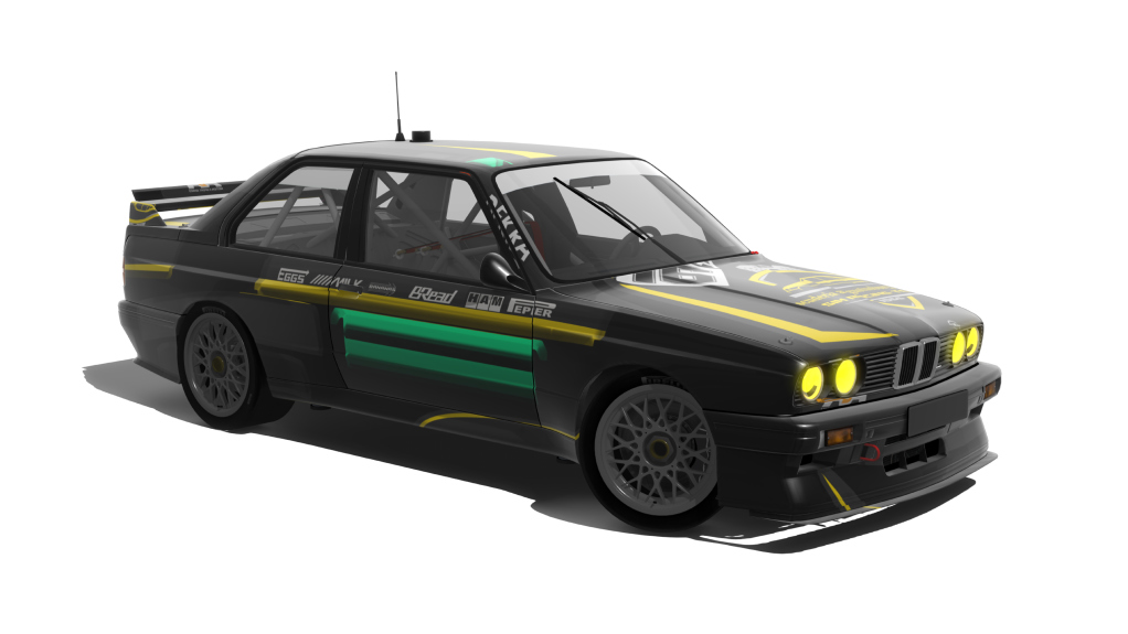 T78 M3Evo DTM, skin 16_fkannewischer